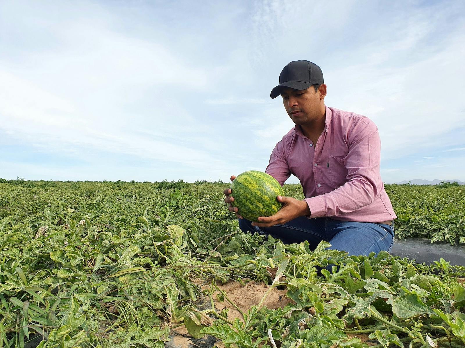 Fotografía de un colaborador de ICUSA sosteniendo un fruto en el campo