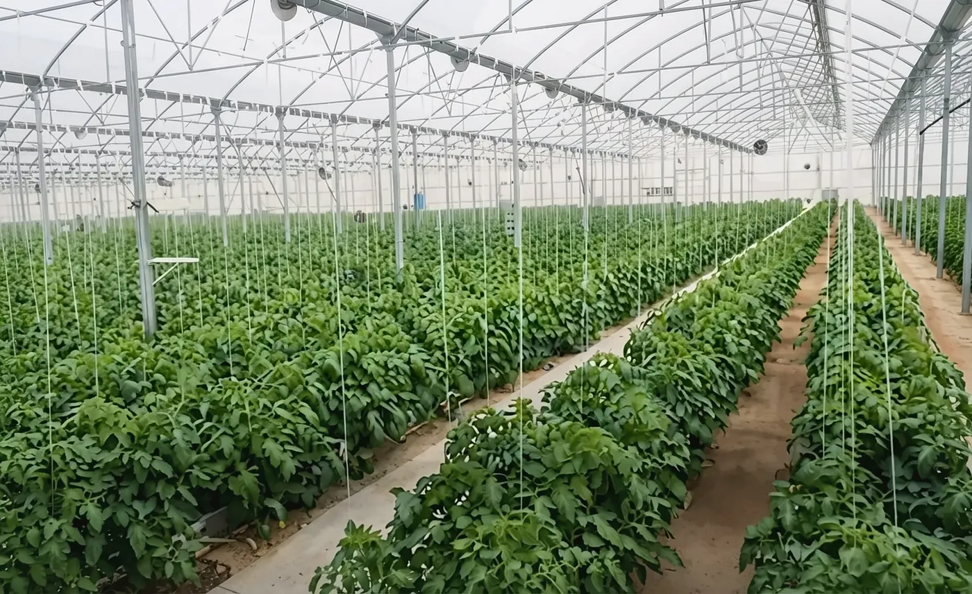 Planta productiva de ICUSA