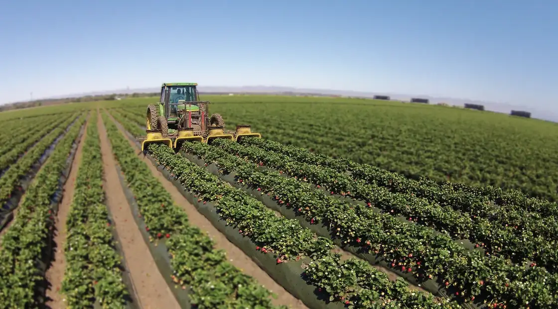 Planta productiva de ICUSA