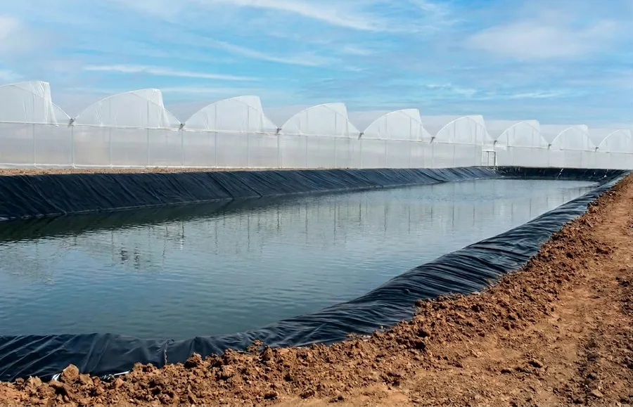 Olla de agua en Zacatecas: captar lluvia para tu cultivo